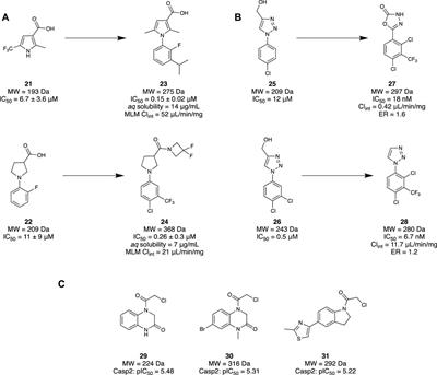 Fragment-based drug discovery for disorders of the central nervous system: designing better drugs piece by piece